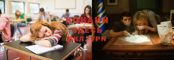 шишки Ростов