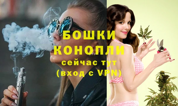 шишки Ростов