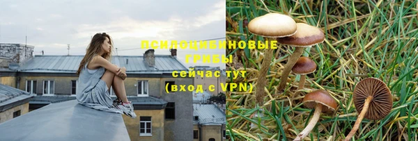 шишки Ростов