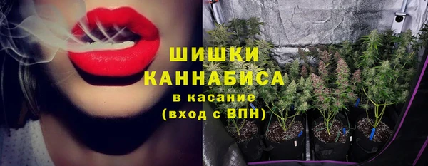 шишки Ростов