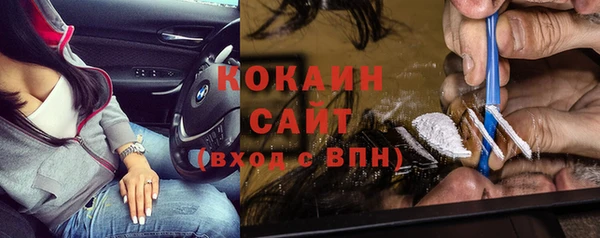 шишки Ростов