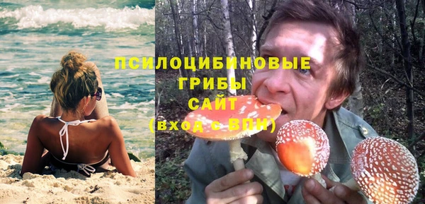 шишки Ростов