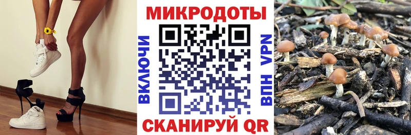 Галлюциногенные грибы Cubensis  Сосновоборск 