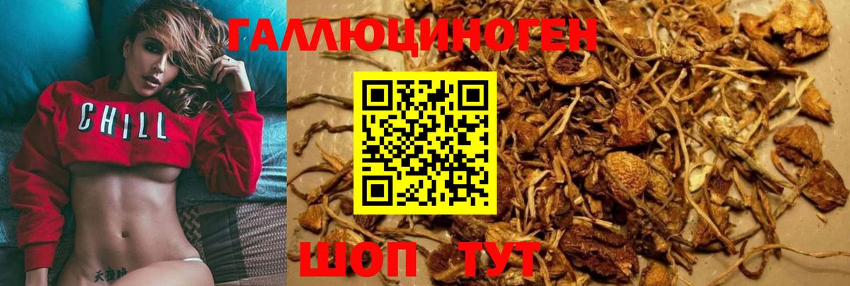 Псилоцибиновые грибы мицелий Сосновоборск