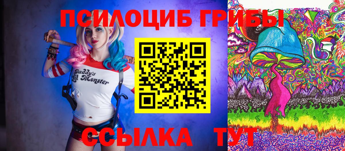 где купить наркоту  Сосновоборск  Псилоцибиновые грибы GOLDEN TEACHER 