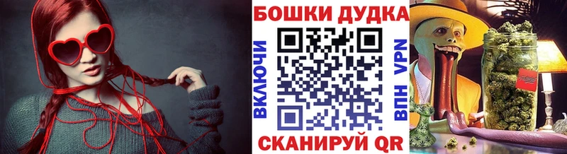 Бошки марихуана планчик  Сосновоборск 